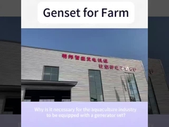 Yangdong-Motor 48 kW 60 KVA leise Dieselgenerator für die Heimwirtschaft