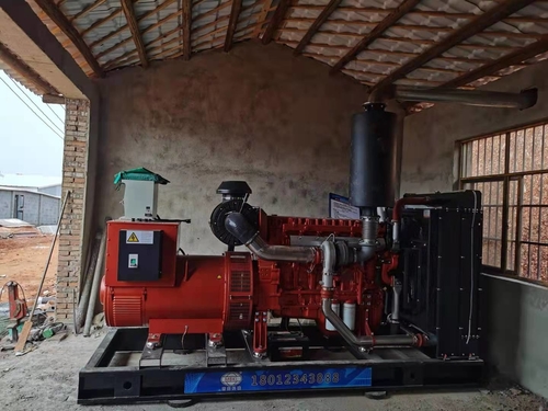 Jüngste Firmenblogs über Dieselaggregat 400KW ist in Geflügelzuchtfabrik installiert